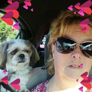 Meet your Posher, Lynne